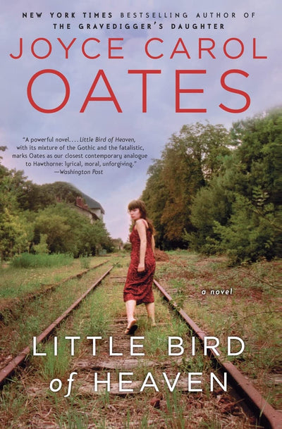 Little Bird Of Heaven: A Novel