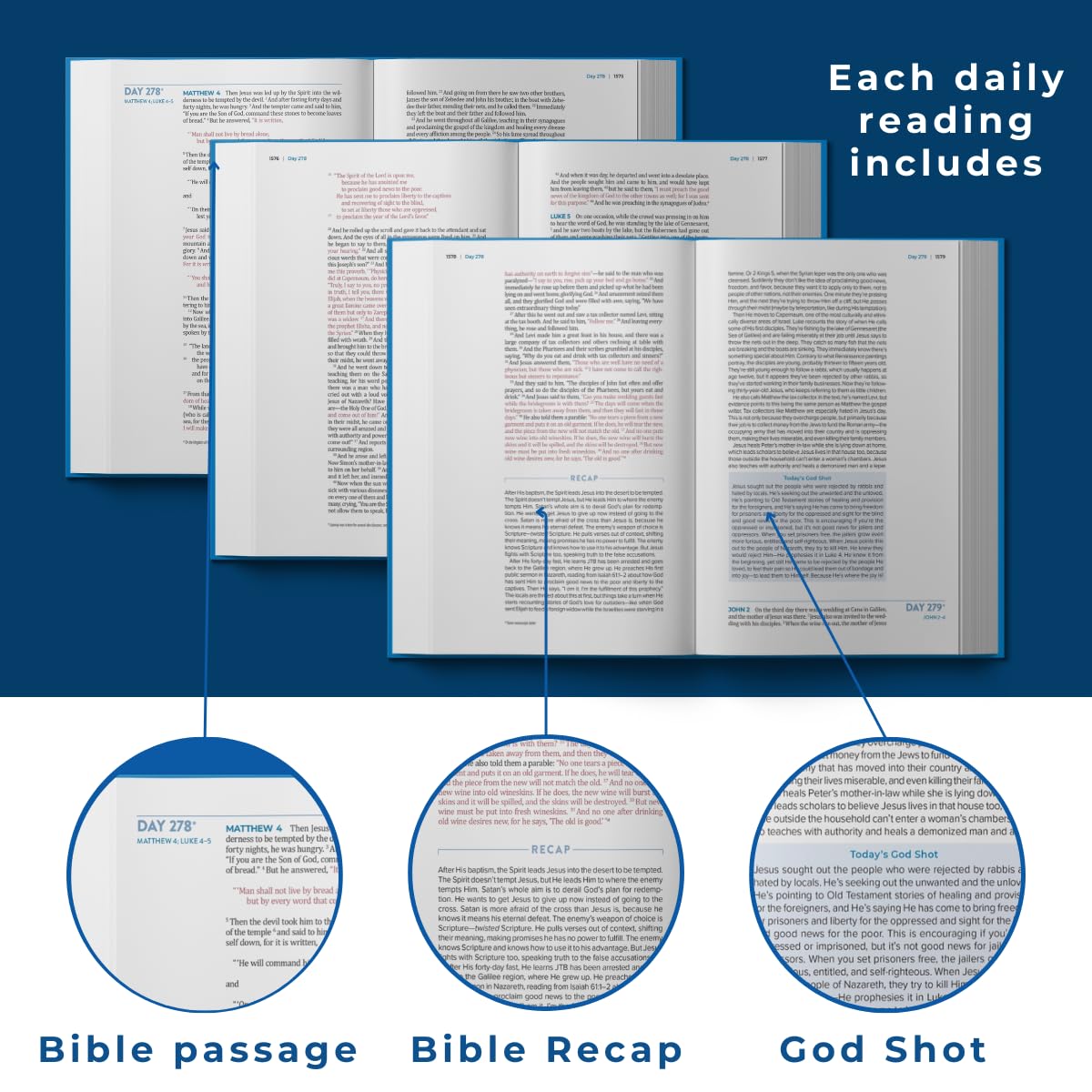 The Bible Recap 365-Day Chronological Study Bible: English Standard Version- ESV One Year Reading Plan