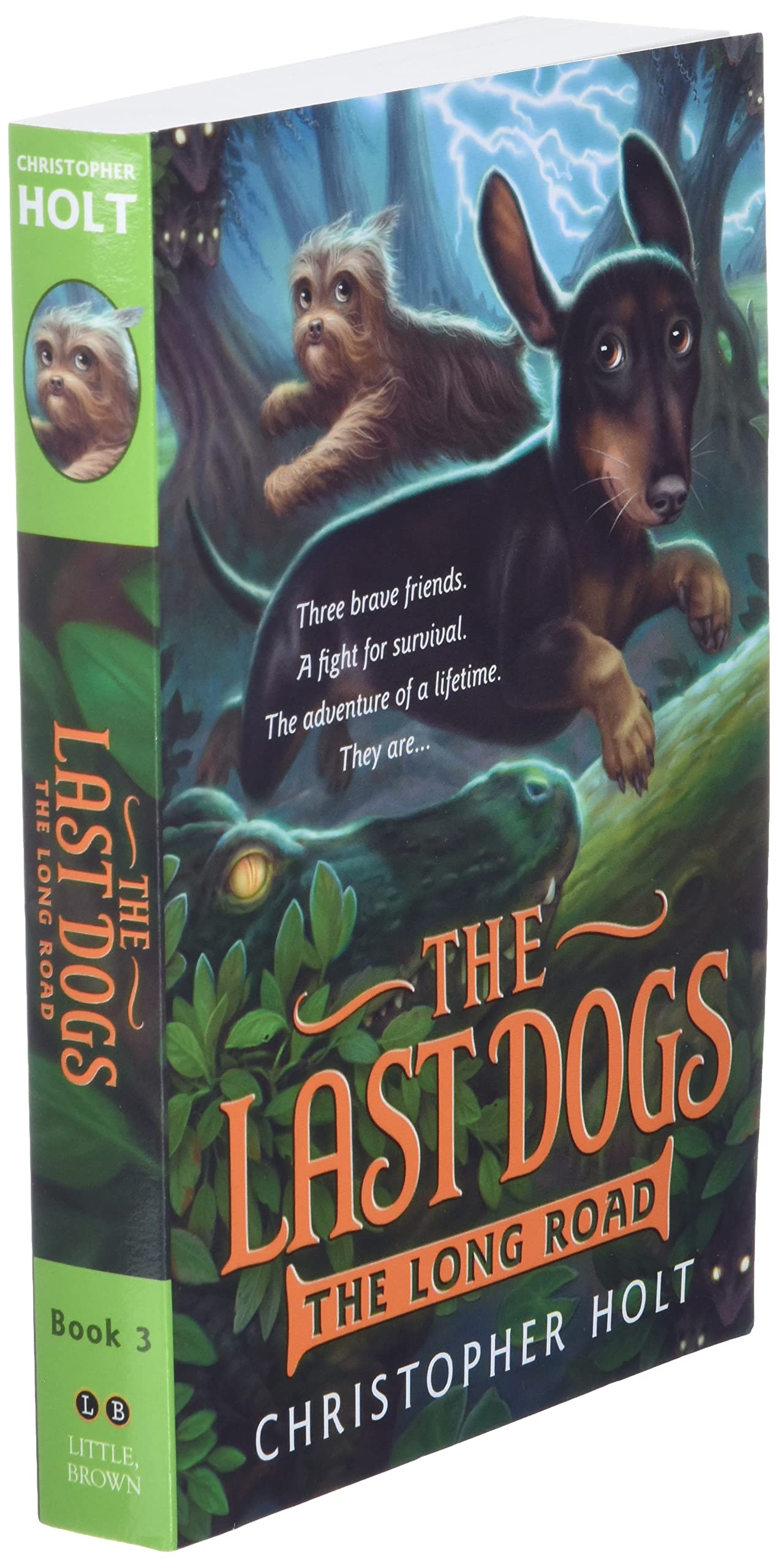 The Last Dogs: The Long Road (The Last Dogs, 3) by Holt, Chr