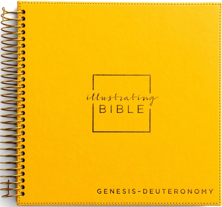 NIV Illustrating Bible Yellow: Genesis to Deuteronomy