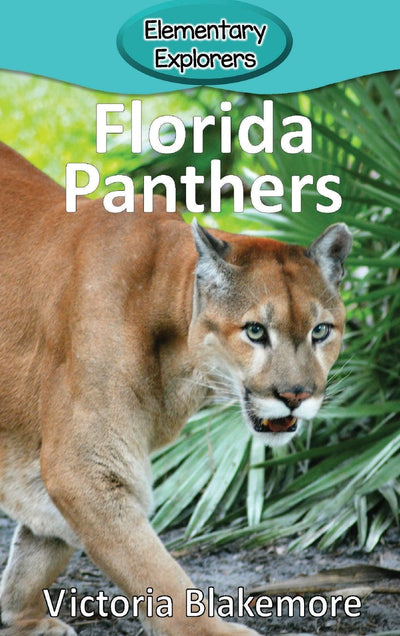 Florida Panthers (Elementary Explorers)