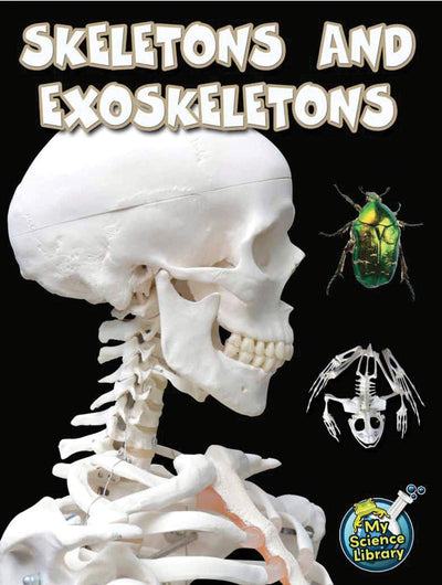 Rourke Educational Media Skeletons and Exoskeletons (My Science Library)
