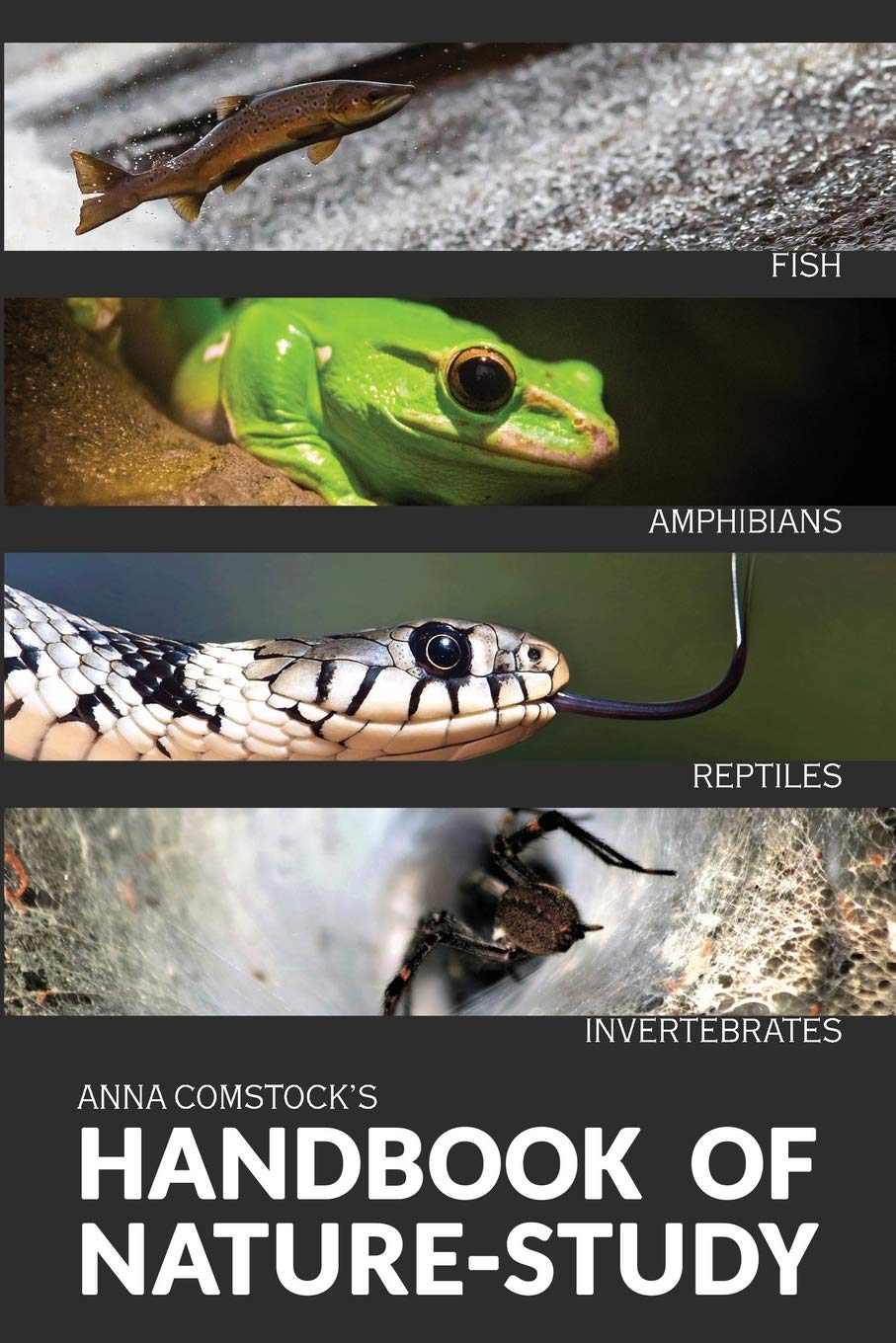The Handbook Of Nature Study in Color - Fish, Reptiles, Amphibians, Invertebrates