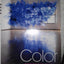 Color (6th Edition)