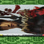 Onimusha: Warlords (Prima's Official Strategy Guide)