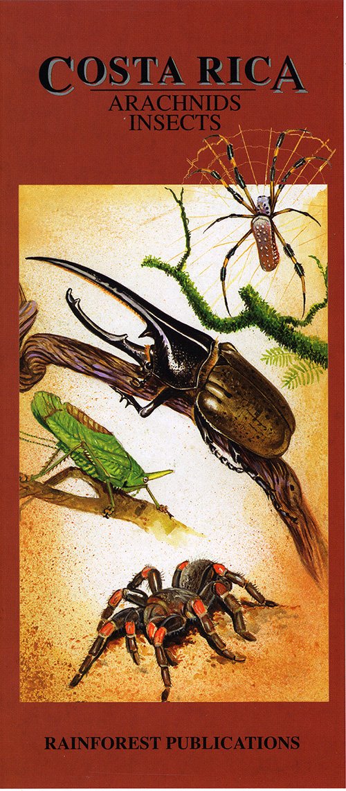 Costa Rica Arachnids & Insects Wildlife Guide (Laminated Foldout Pocket Field Guide) (English and Spanish Edition)