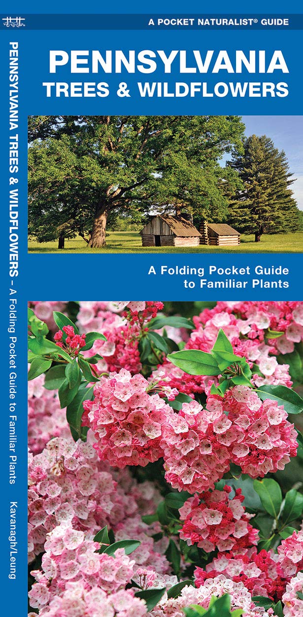 Pennsylvania Trees & Wildflowers: A Folding Pocket Guide to Familiar Plants (Wildlife and Nature Identification)