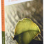 Mindfulness With Breathing : A Manual for Serious Beginners