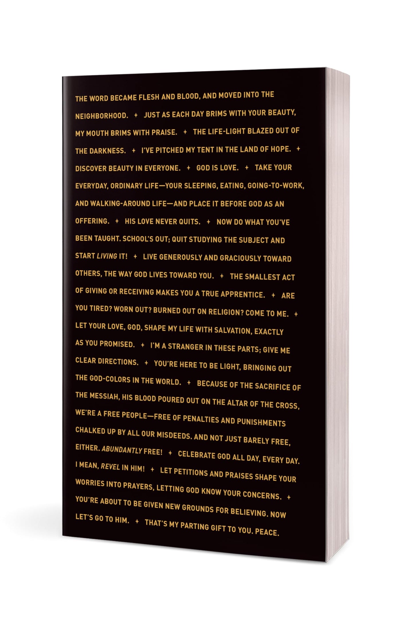 The Message Student Bible (Softcover)