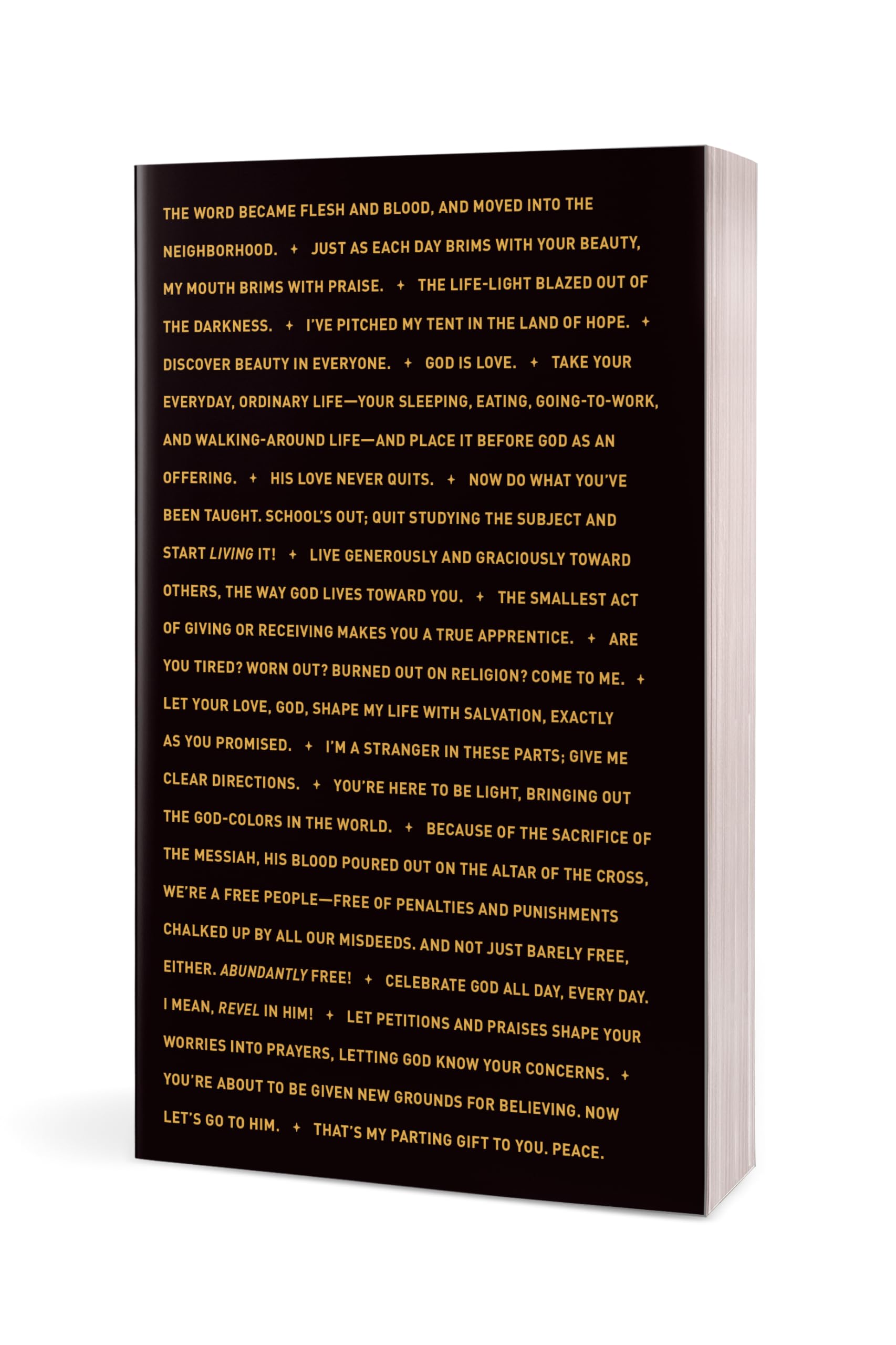 The Message Student Bible (Softcover)