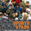 Sport Stars: The Cultural Politics of Sporting Celebrity