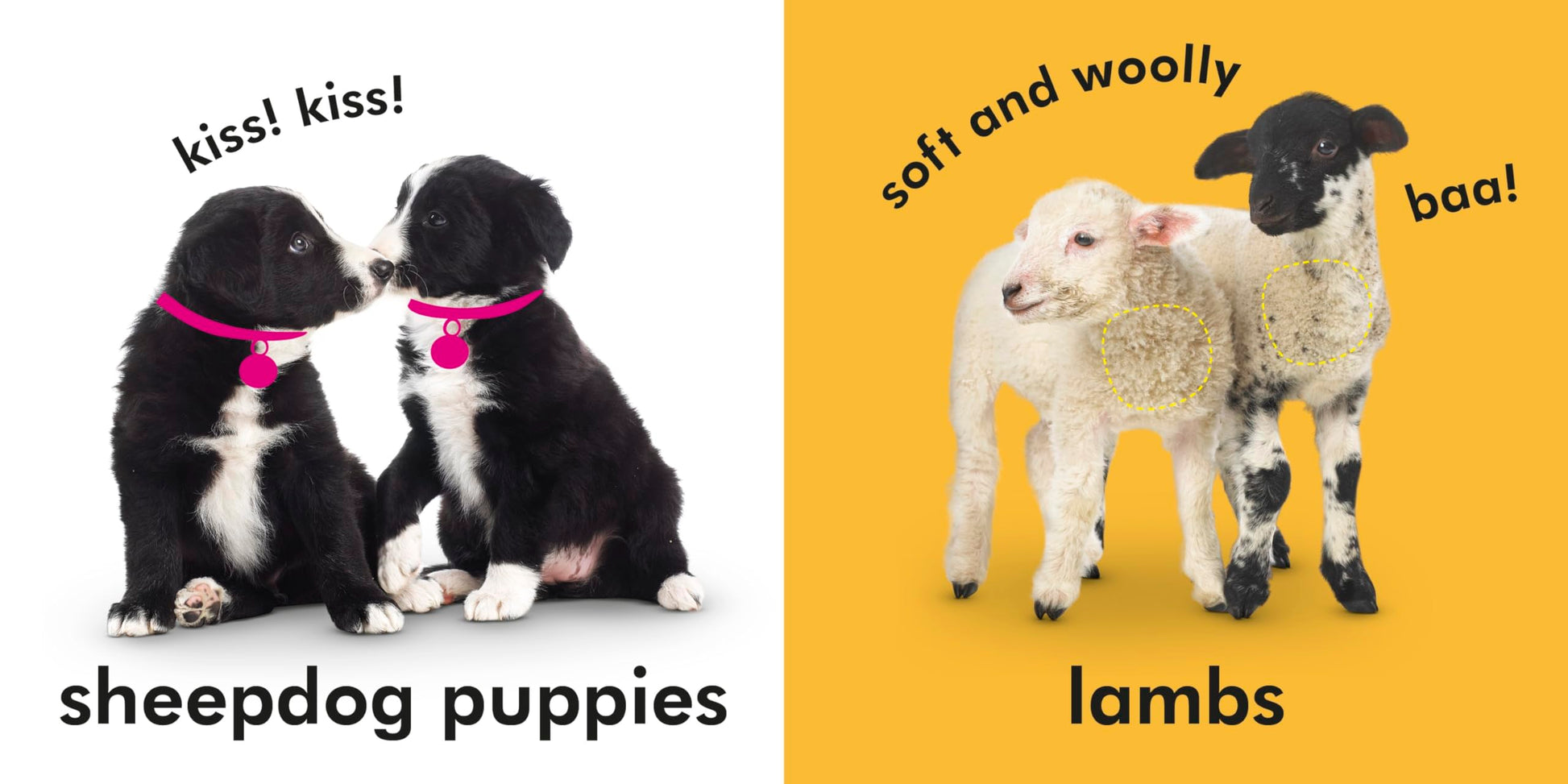 Baby Touch and Feel Farm Friends: An Interactive Animal Board Book