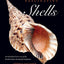 Fascinating Shells: An Introduction to 121 of the World’s Most Wonderful Mollusks