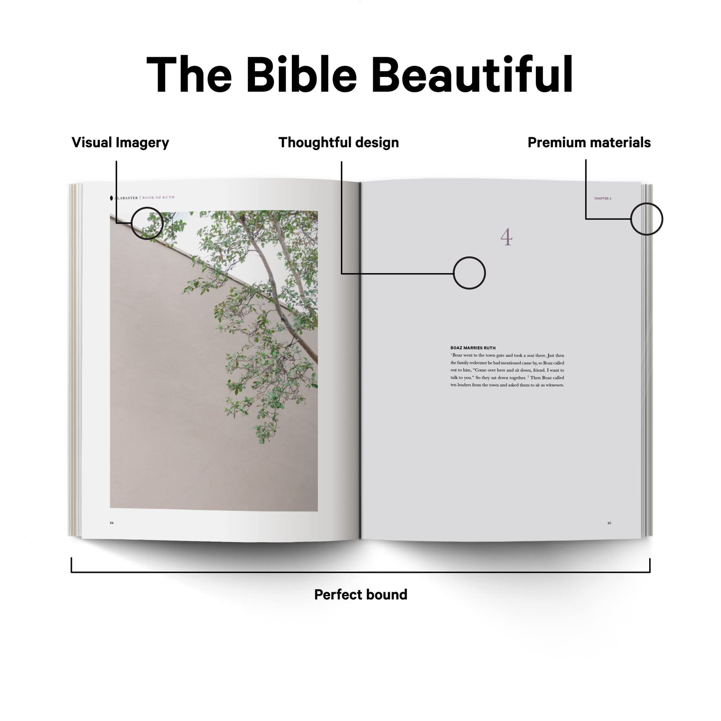 Book of Ruth - Alabaster Bible