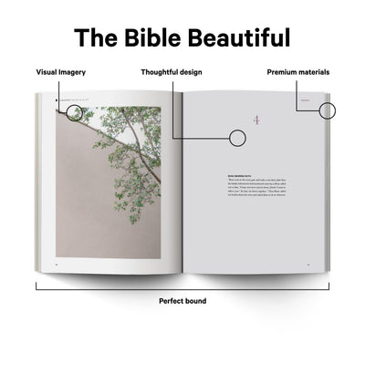Book of Ruth - Alabaster Bible