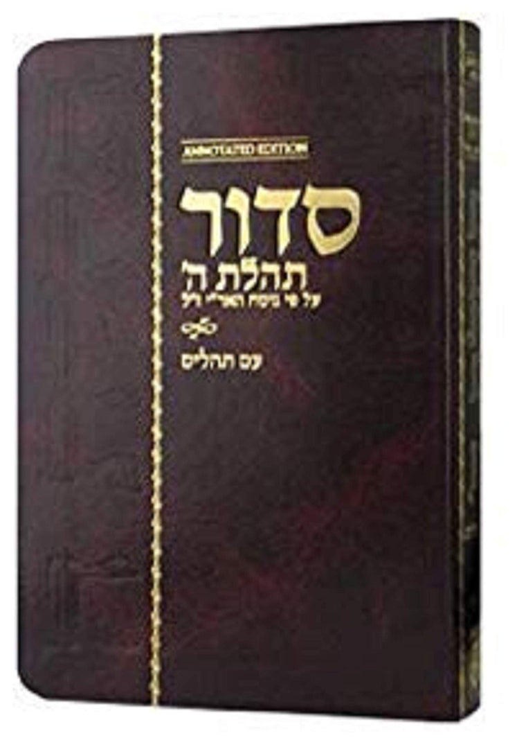Siddur Annotated Compact Edition (Hebrew Edition)