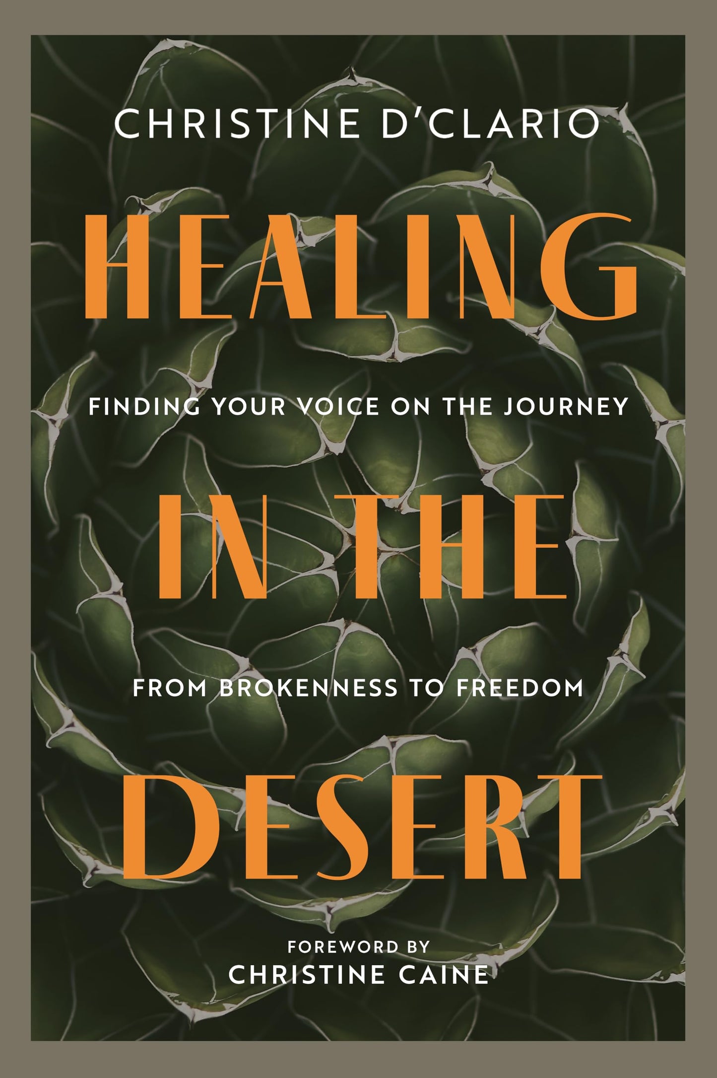 Healing in the Desert: Finding Your Voice on the Journey from Brokenness to Freedom