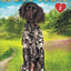 A Match Made in Dog Town (Dog Town Cozy Romance Mysteries)