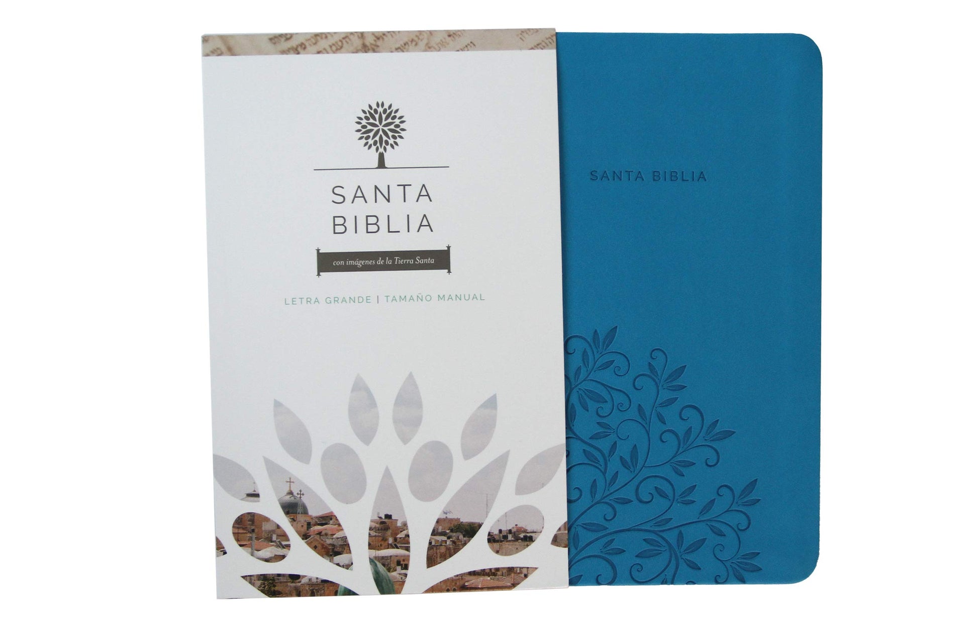 Biblia Reina Valera 1960 letra grande. Smil piel azul, tamao manual / Spanish Holy Bible RVR 1960. Handy Size, Large Print, Blue Leathersoft (Spanish Edition)