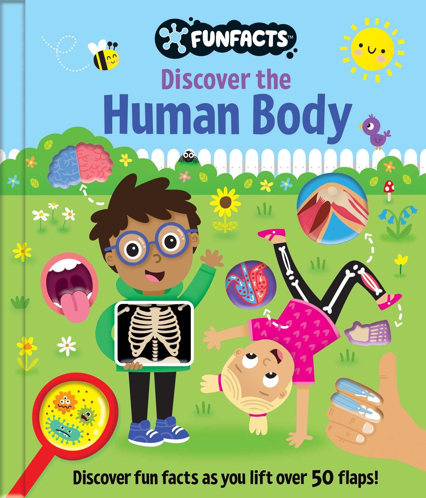 Discover the Human Body: Lift-the-Flap Book: Board Book with Over 50 Flaps to Lift! (FunFacts)