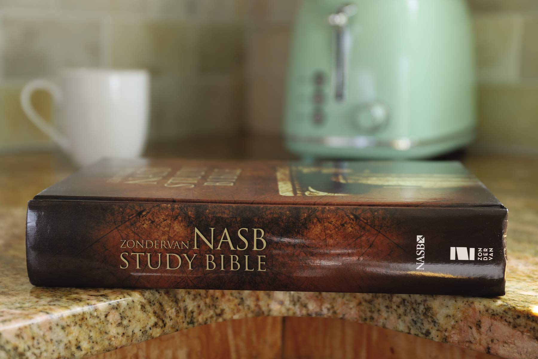 NASB Zondervan Study Bible