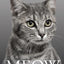 Meow (The Meow Library)