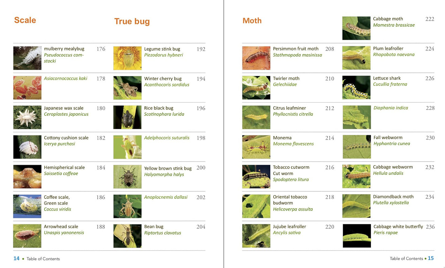 JADAM Organic Pest and Disease Control: Powerful DIY Solutions