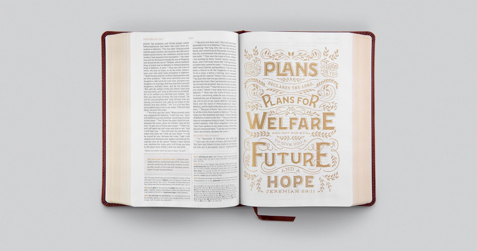 ESV Women's Study Bible (TruTone, Chestnut, Almond Tree Design): Holy Bible, English Standard Version