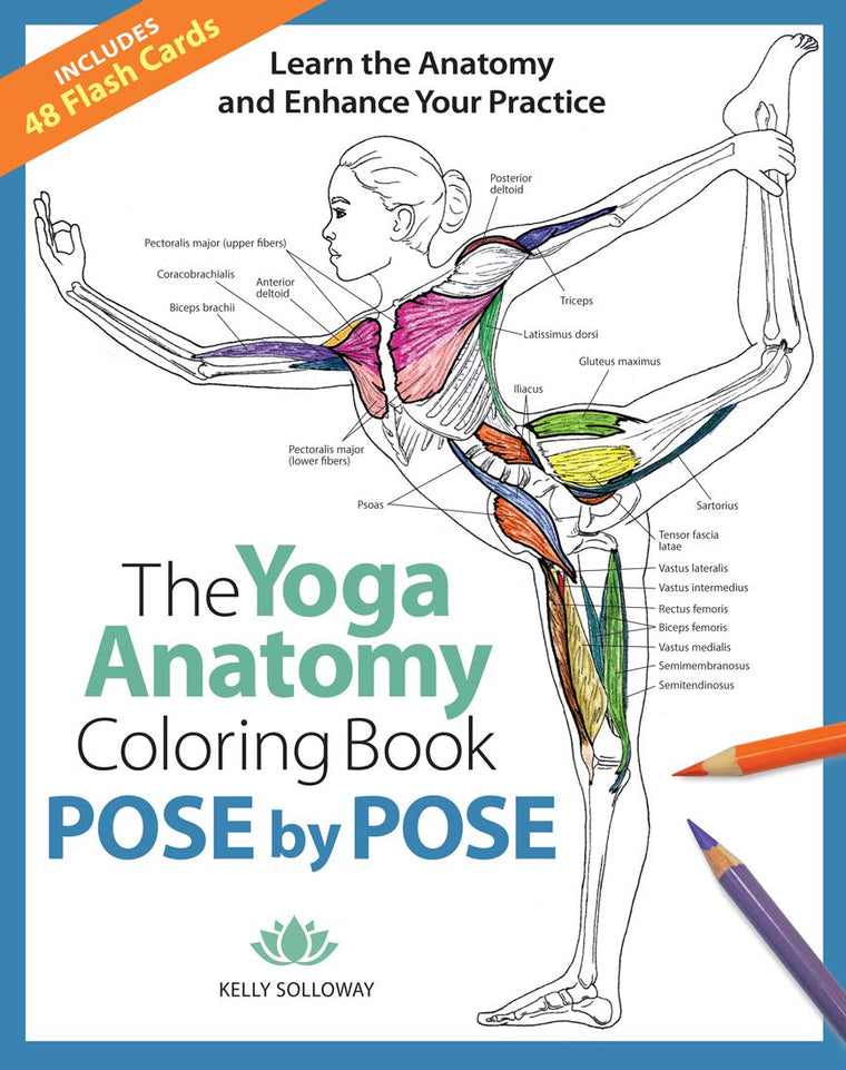 Pose by Pose: Learn the Anatomy and Enhance Your Practice (Volume 2) (Anatomy Coloring Books)