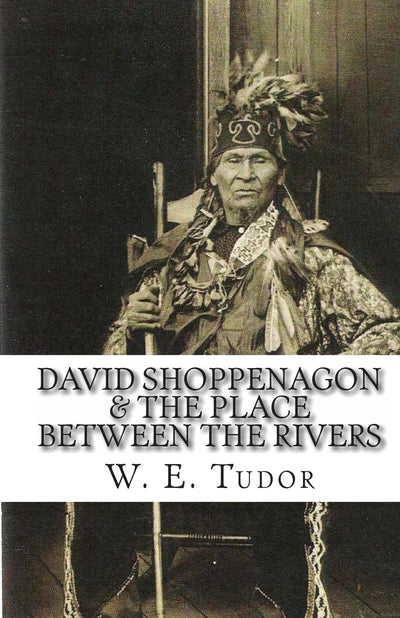 David Shoppenagon & The Place Between the Rivers