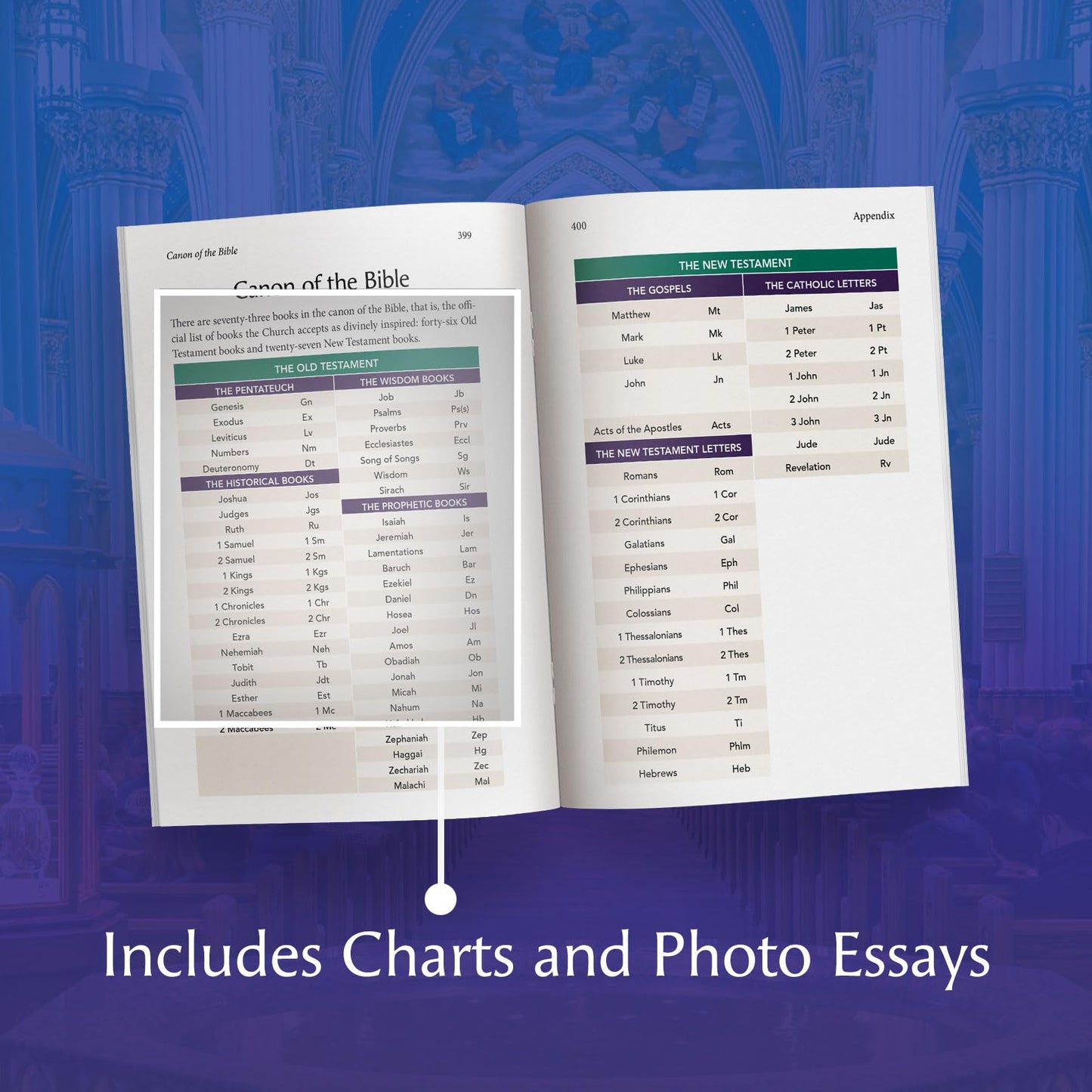 A Journey through the Catechism - Unveiling the Truth, Beauty, and Goodness of the Catholic Faith: Award-Winning Resource for OCIA, RCIA, and Adult Faith Formation