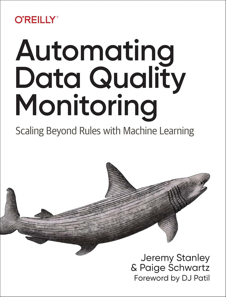 Automating Data Quality Monitoring: Scaling Beyond Rules with Machine Learning