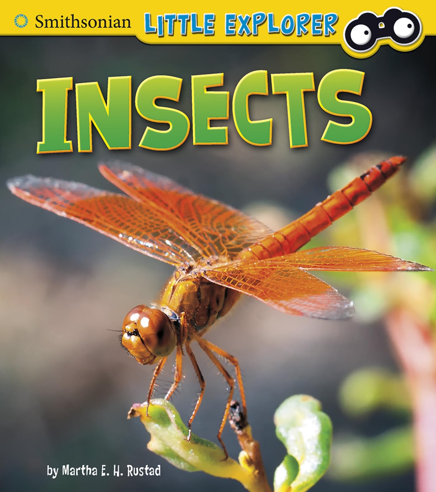 Insects (Little Scientist)