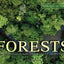 Forests: From the Amazon Rainforest to the Siberian Taiga (Amazing Places Landscape)