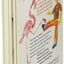 From Head to Toe Board Book by Eric Carle