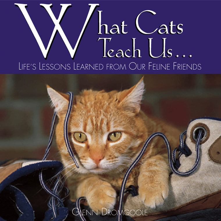What Cats Teach Us...: Life's Lessons Learned from Our Feline Friends