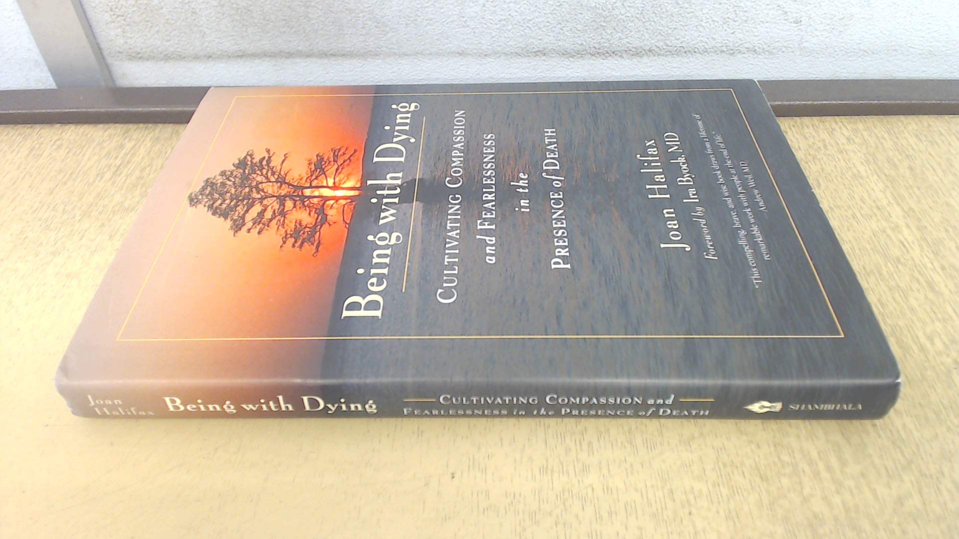 Being with Dying: Cultivating Compassion and Fearlessness in the Presence of Death