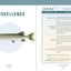 Hooked: The Ultimate Fish to Catch in a Lifetime