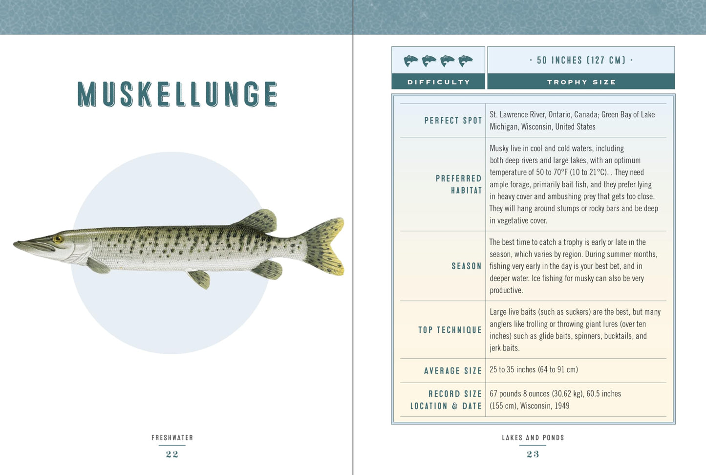 Hooked: The Ultimate Fish to Catch in a Lifetime