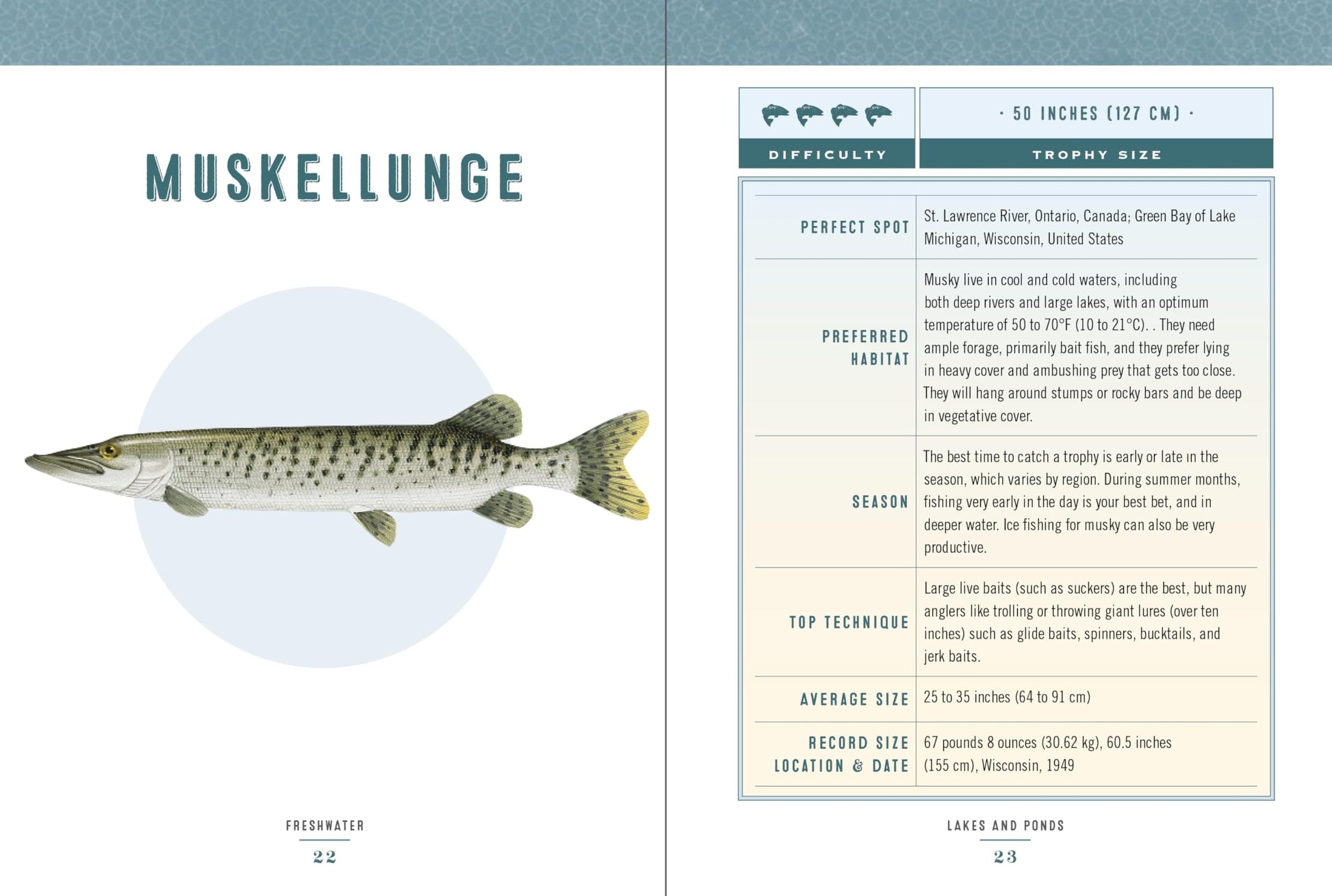 Hooked: The Ultimate Fish to Catch in a Lifetime