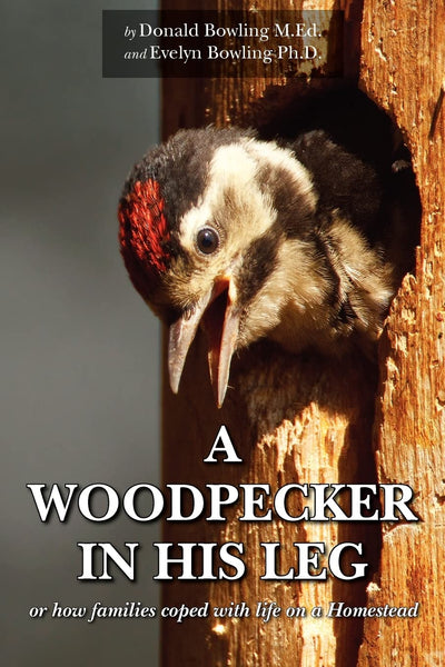 A WOODPECKER IN HIS LEG: Or how families coped with life on a Homestead