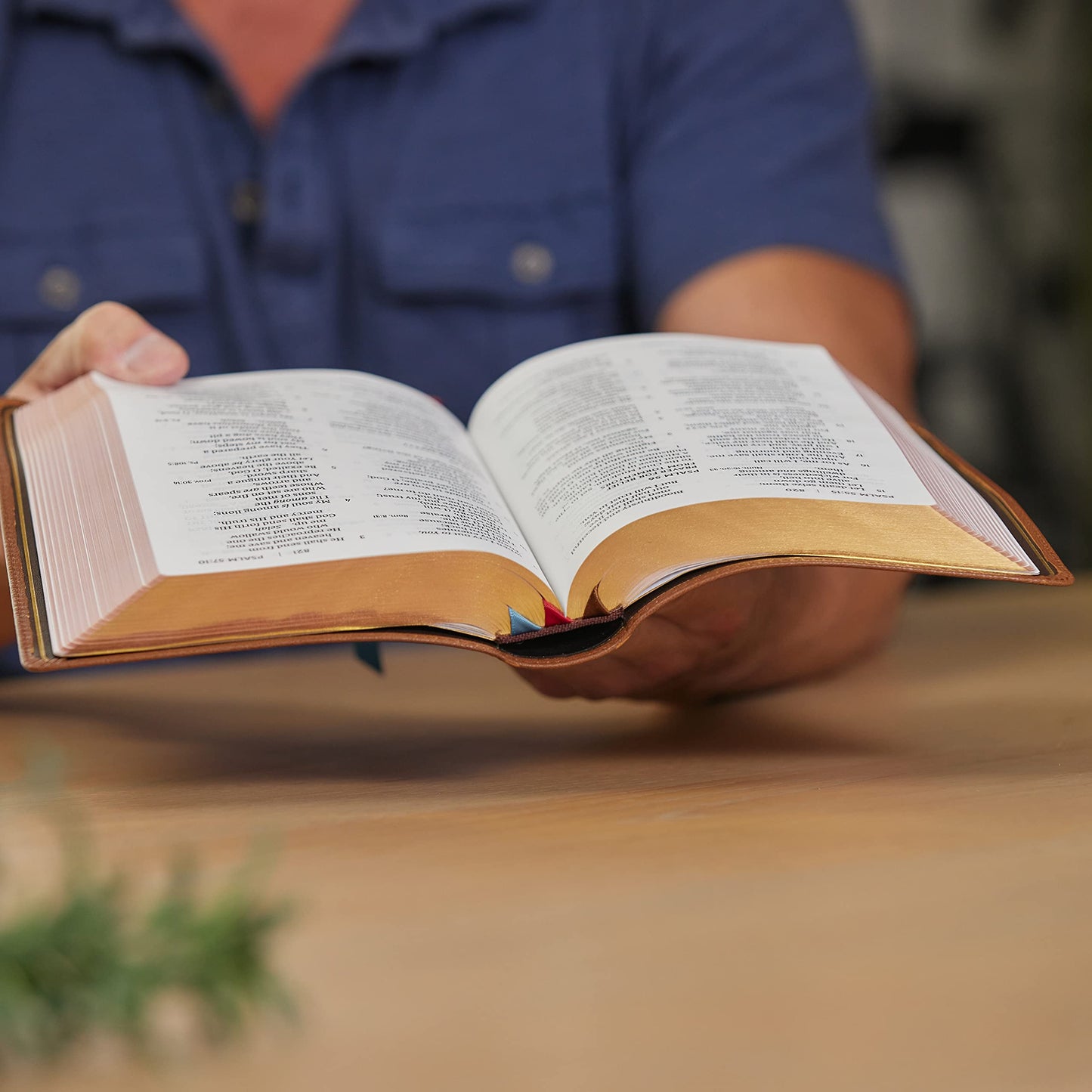 NKJV, End-of-Verse Reference Bible, Personal Size Large Print, Premium Goatskin Leather, Brown, Premier Collection, Red Letter, Comfort Print: Holy Bible, New King James Version