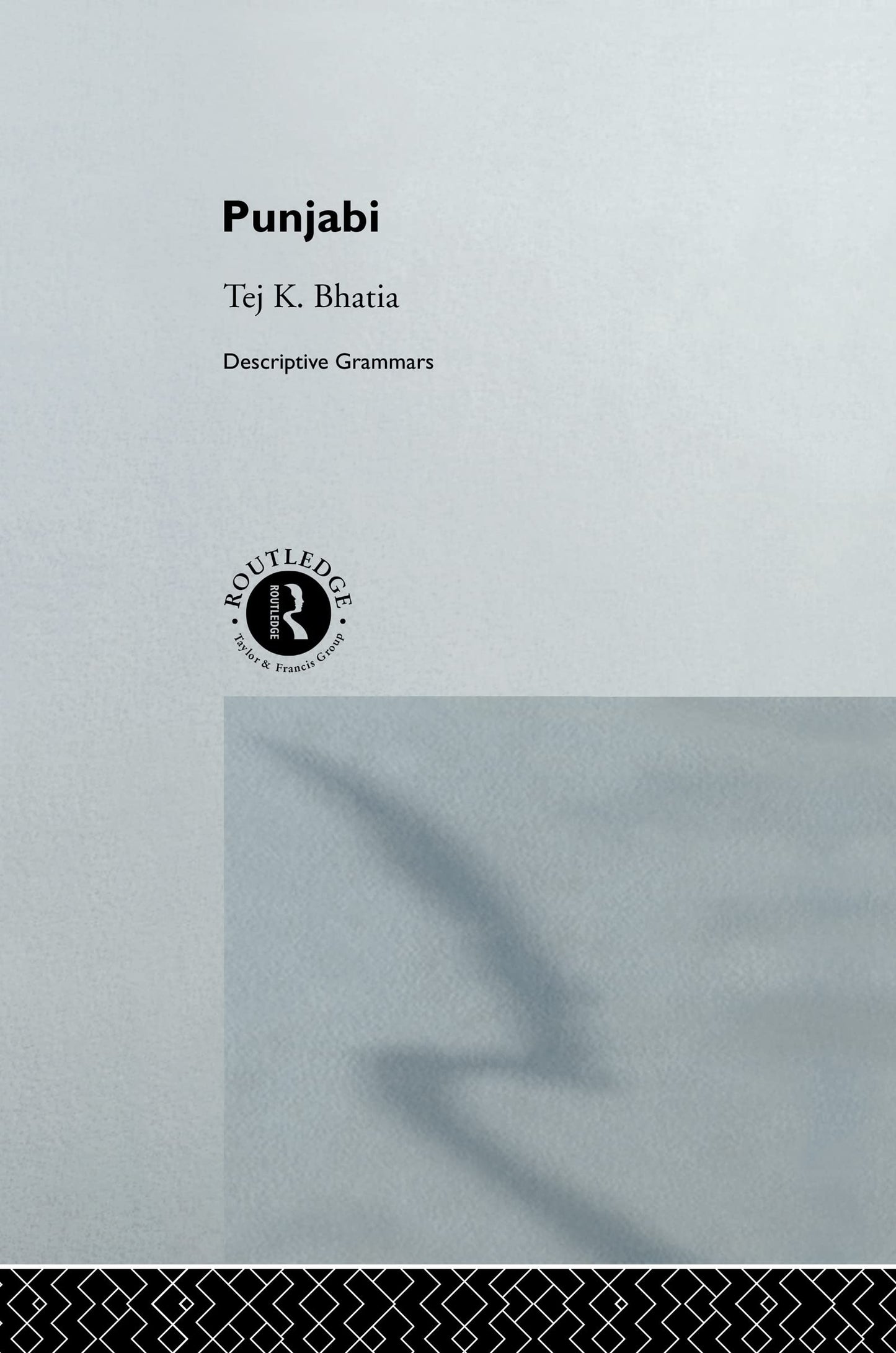 Punjabi (Descriptive Grammars)