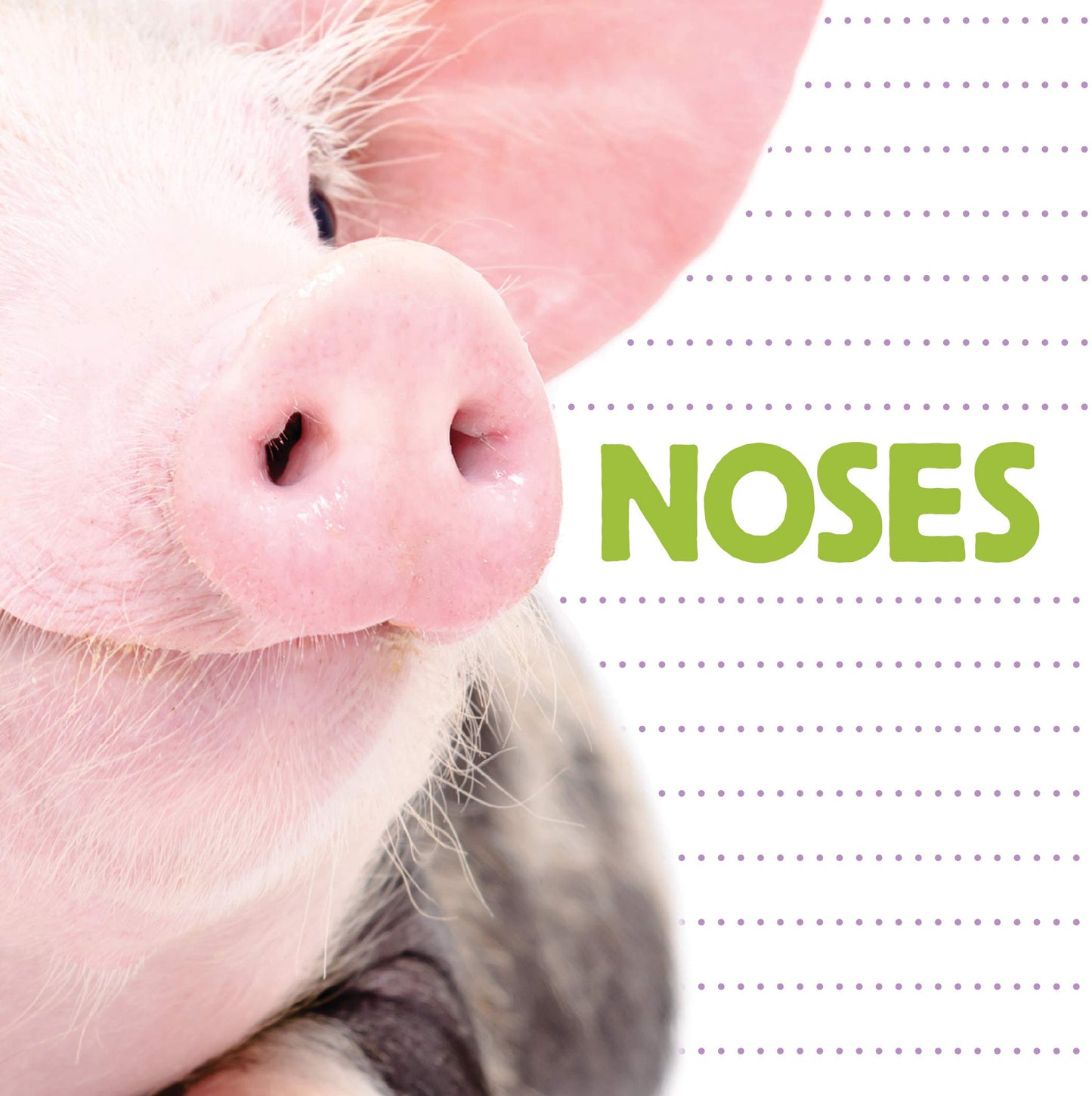 Noses (Whose Is It?)