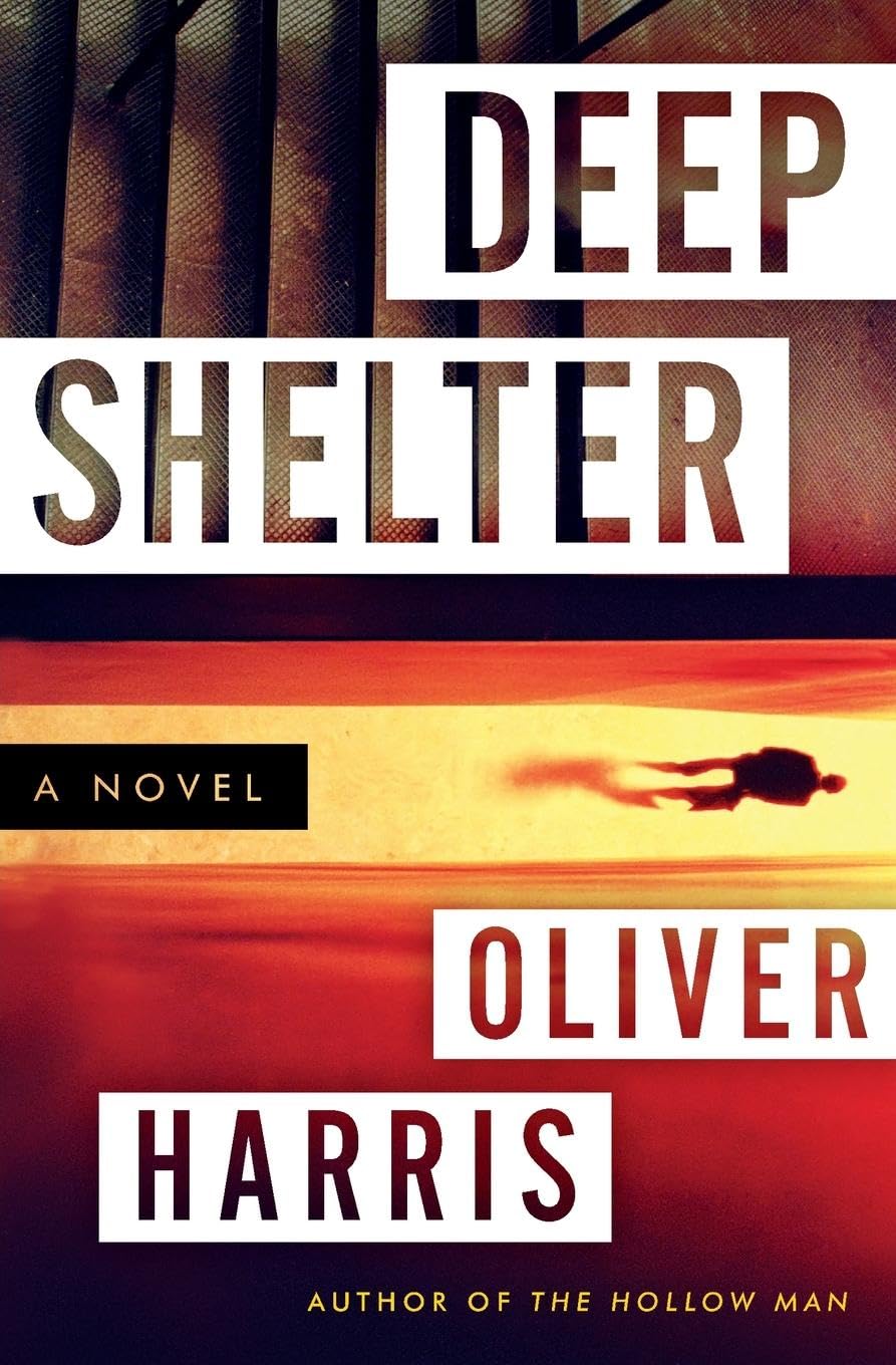 Deep Shelter: A Novel (Detective Nick Belsey Series, 2)