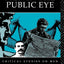 Men In The Public Eye (Critical Studies on Men and Masculinities, No 4)