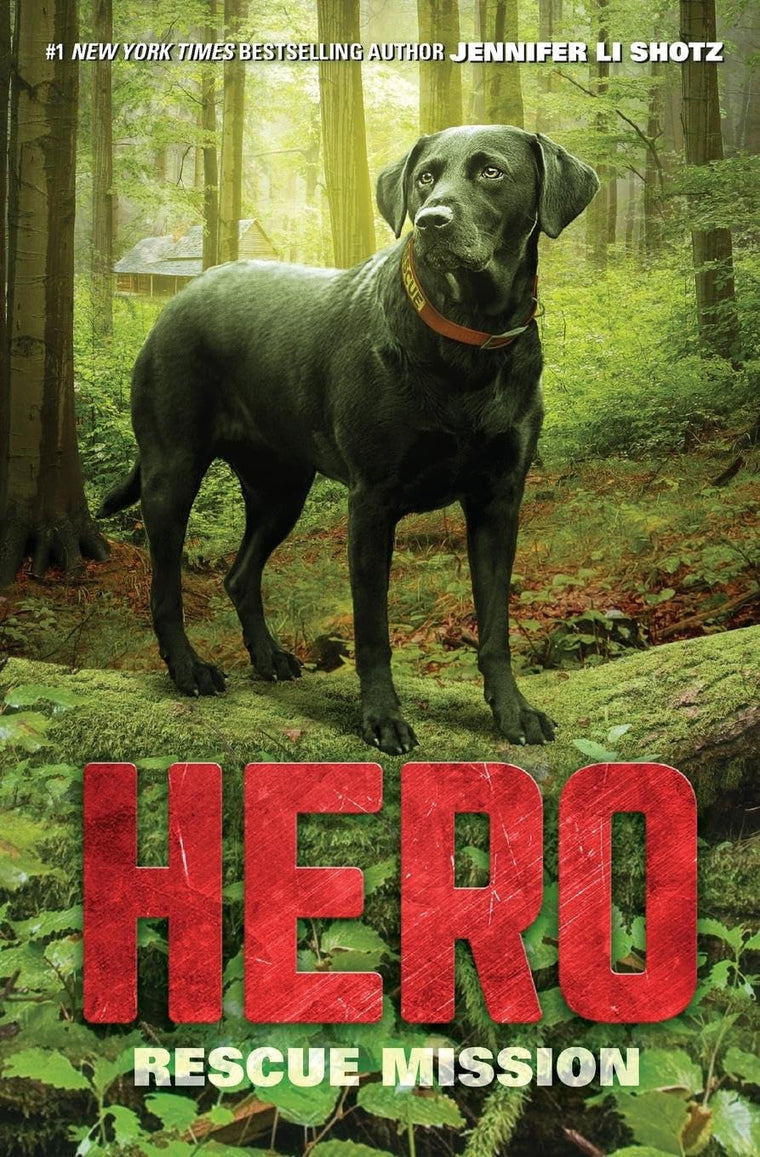 Hero: Rescue Mission (Hero, 3)
