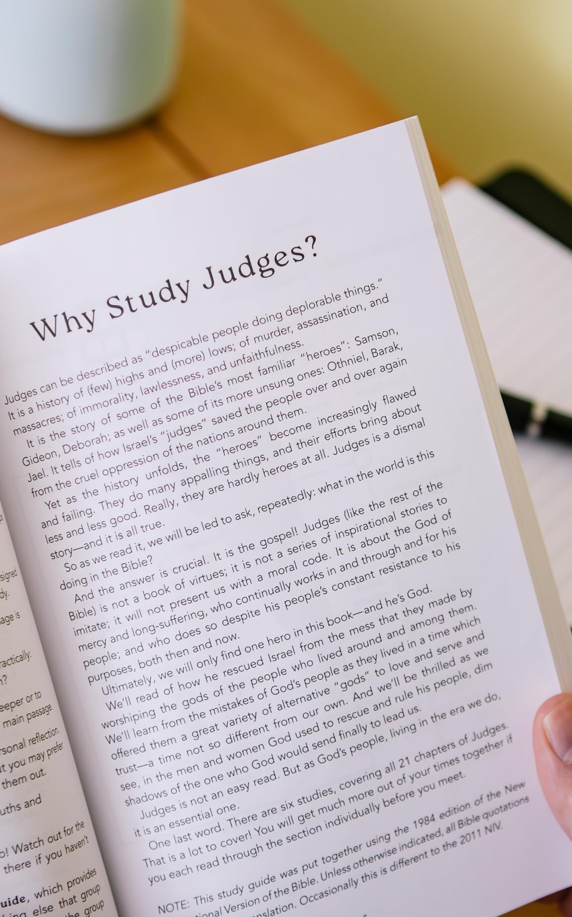 Judges: The Flawed and the Flawless: 6-Session Bible Study (Easy-to-use Bible-study workbook with discussion questions and Leaders Guide included, great for small groups) (Good Book Guides)