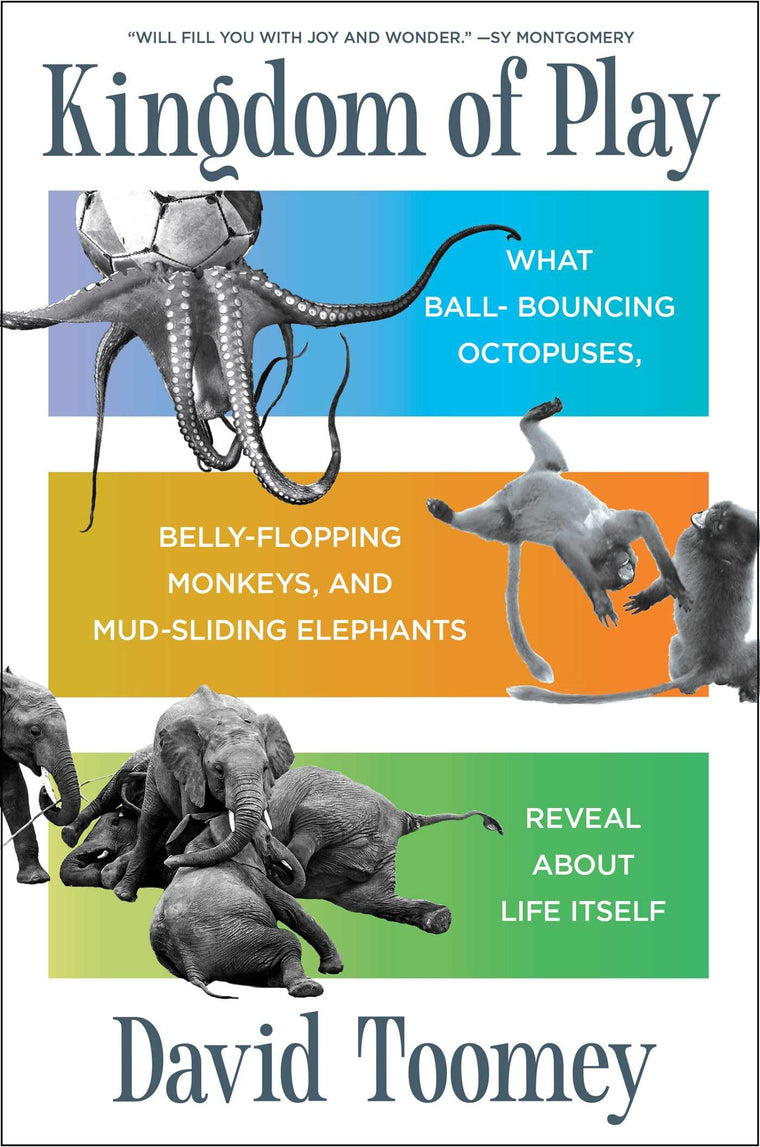 Kingdom of Play: What Ball-bouncing Octopuses, Belly-floppin