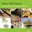 Olive Mill Waste: Recent Advances for Sustainable Management